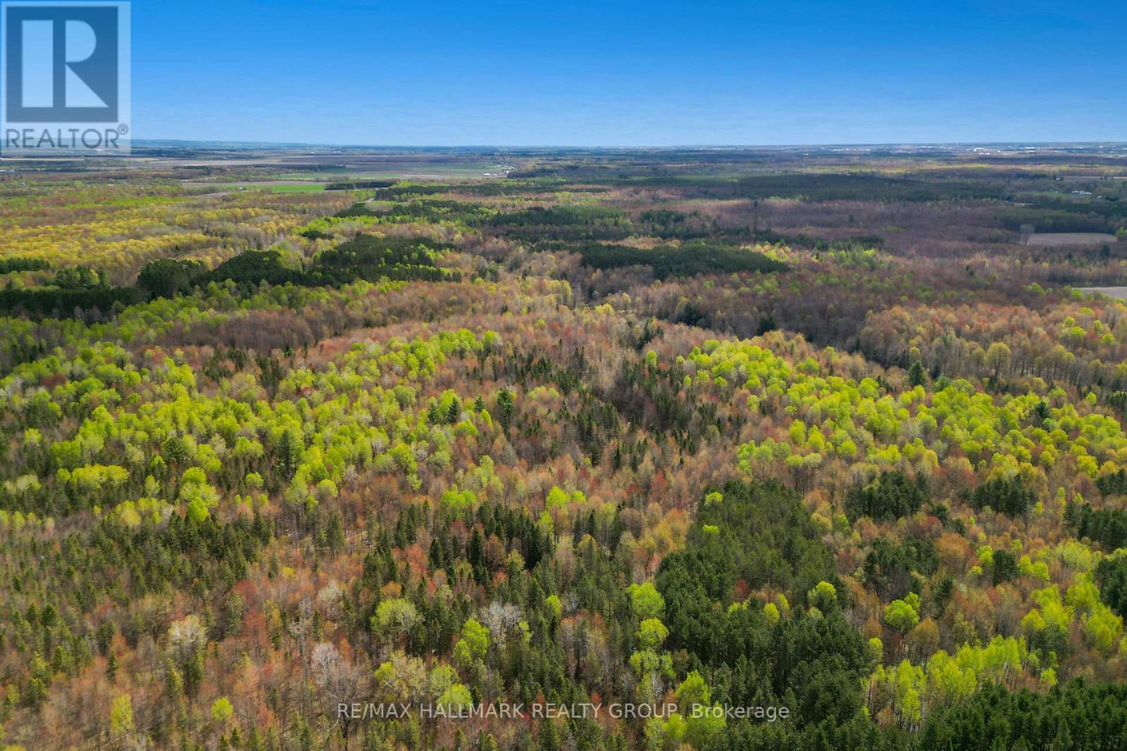320 Clarence Cambridge Road, The Nation, Ontario  K4R 1E5 - Photo 3 - X13130202