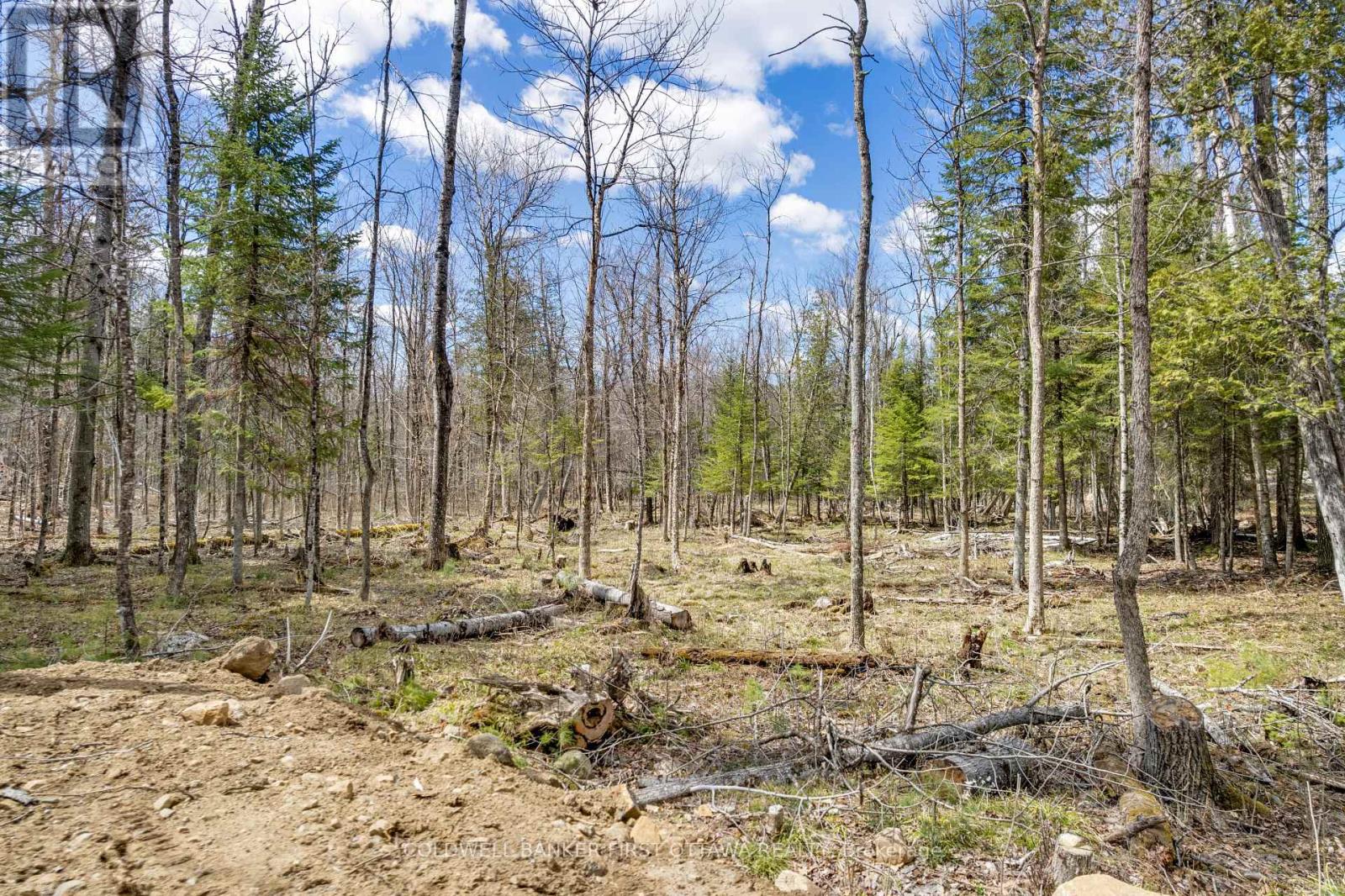 621 North Shore Rd Road, Lanark Highlands, Ontario  K0G 1M0 - Photo 13 - X13133232