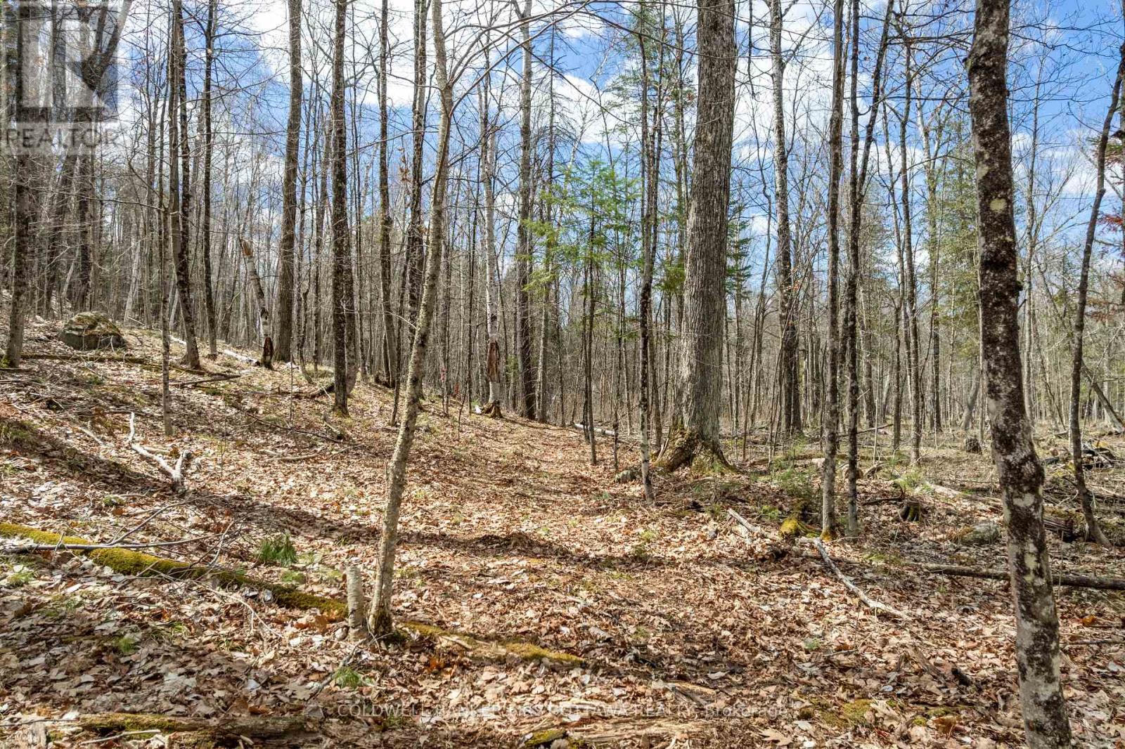 621 North Shore Rd Road, Lanark Highlands, Ontario  K0G 1M0 - Photo 14 - X13133232