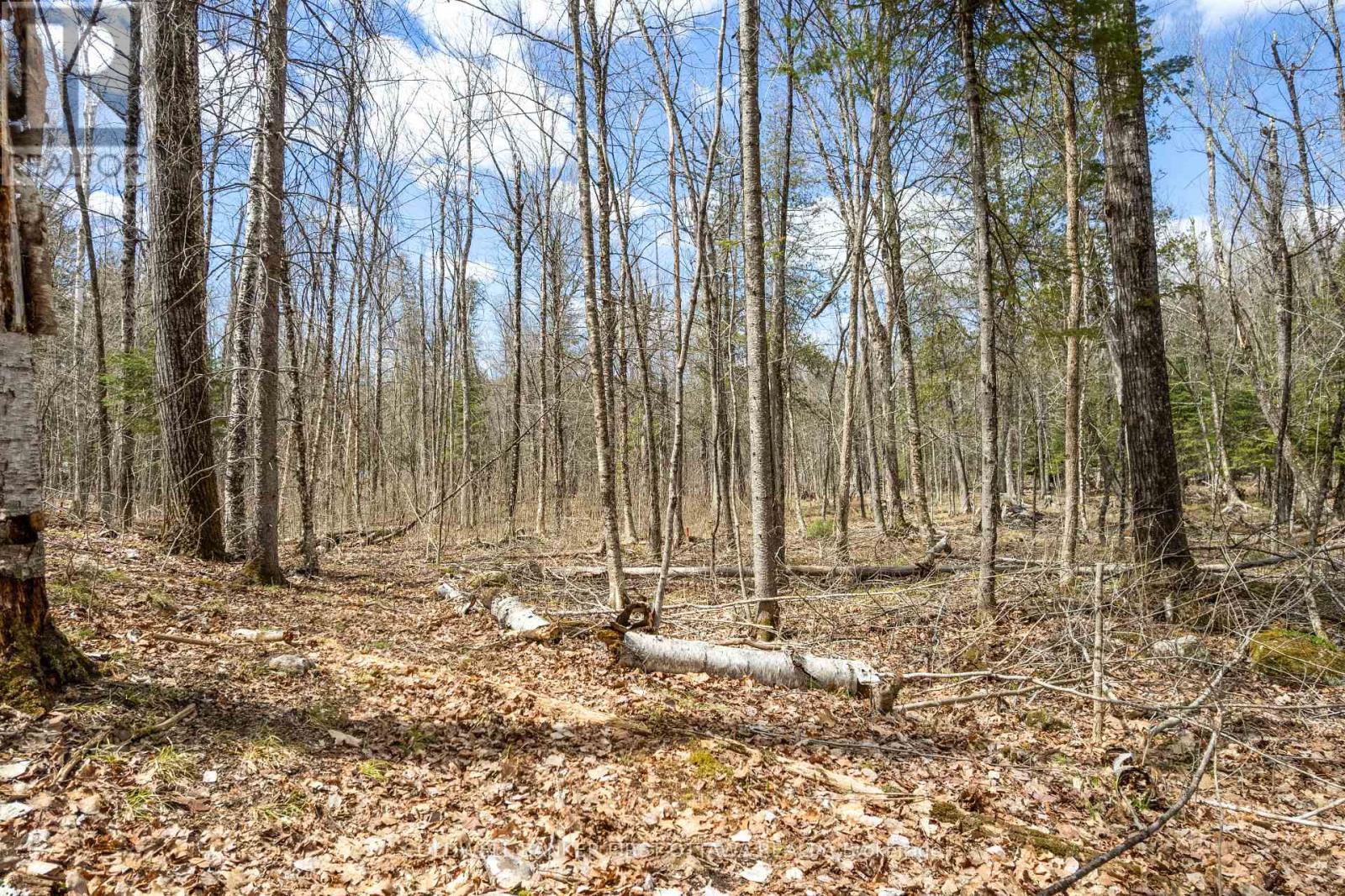 621 North Shore Rd Road, Lanark Highlands, Ontario  K0G 1M0 - Photo 15 - X13133232