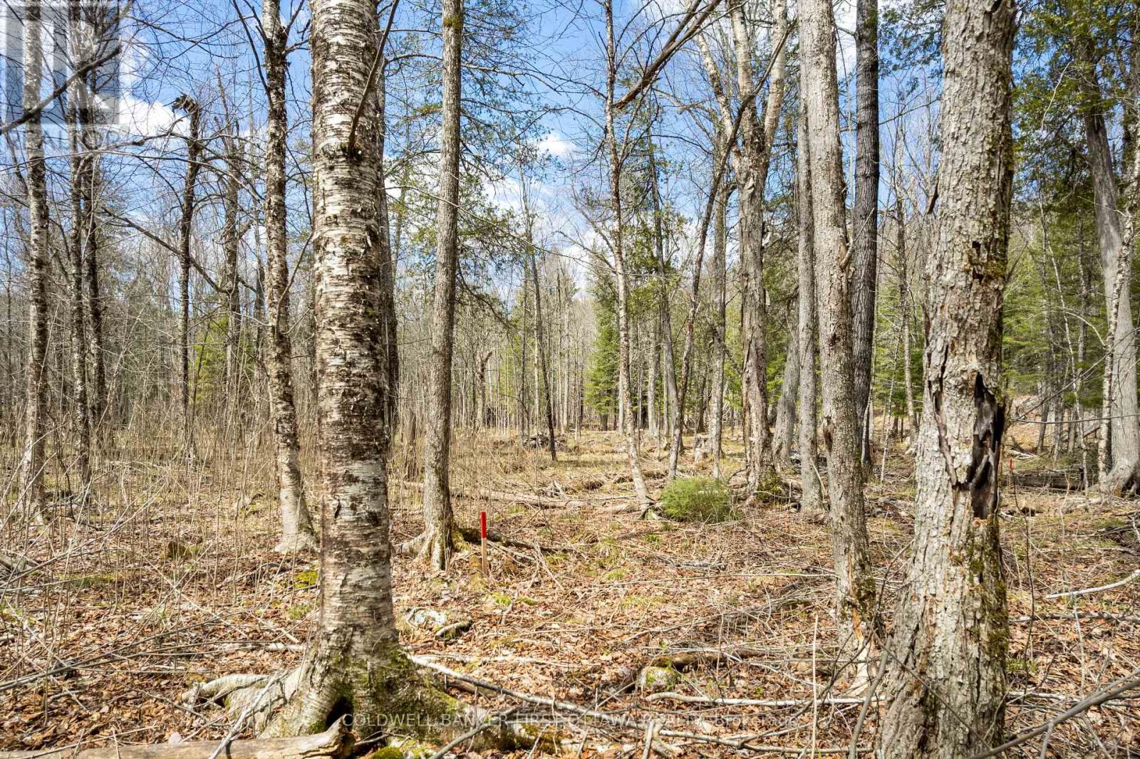 621 North Shore Rd Road, Lanark Highlands, Ontario  K0G 1M0 - Photo 16 - X13133232