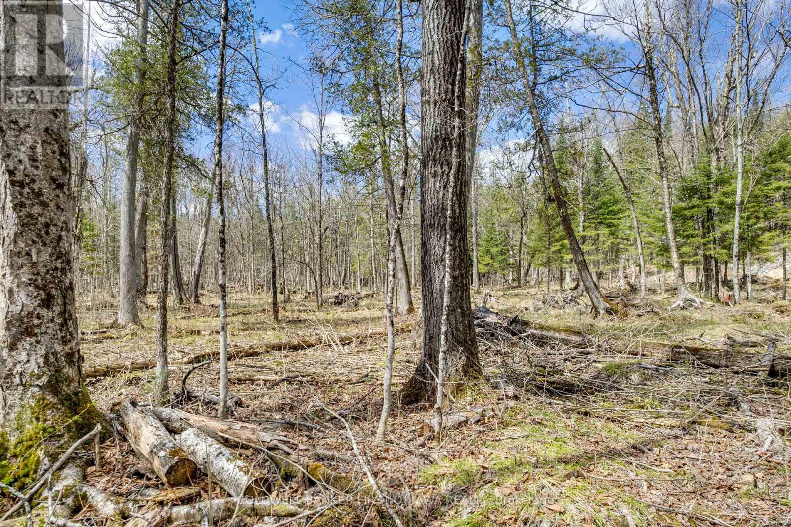 621 North Shore Rd Road, Lanark Highlands, Ontario  K0G 1M0 - Photo 17 - X13133232