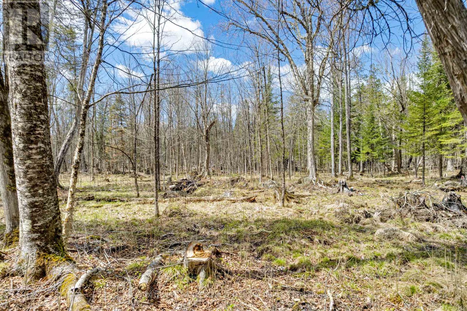 621 North Shore Rd Road, Lanark Highlands, Ontario  K0G 1M0 - Photo 18 - X13133232