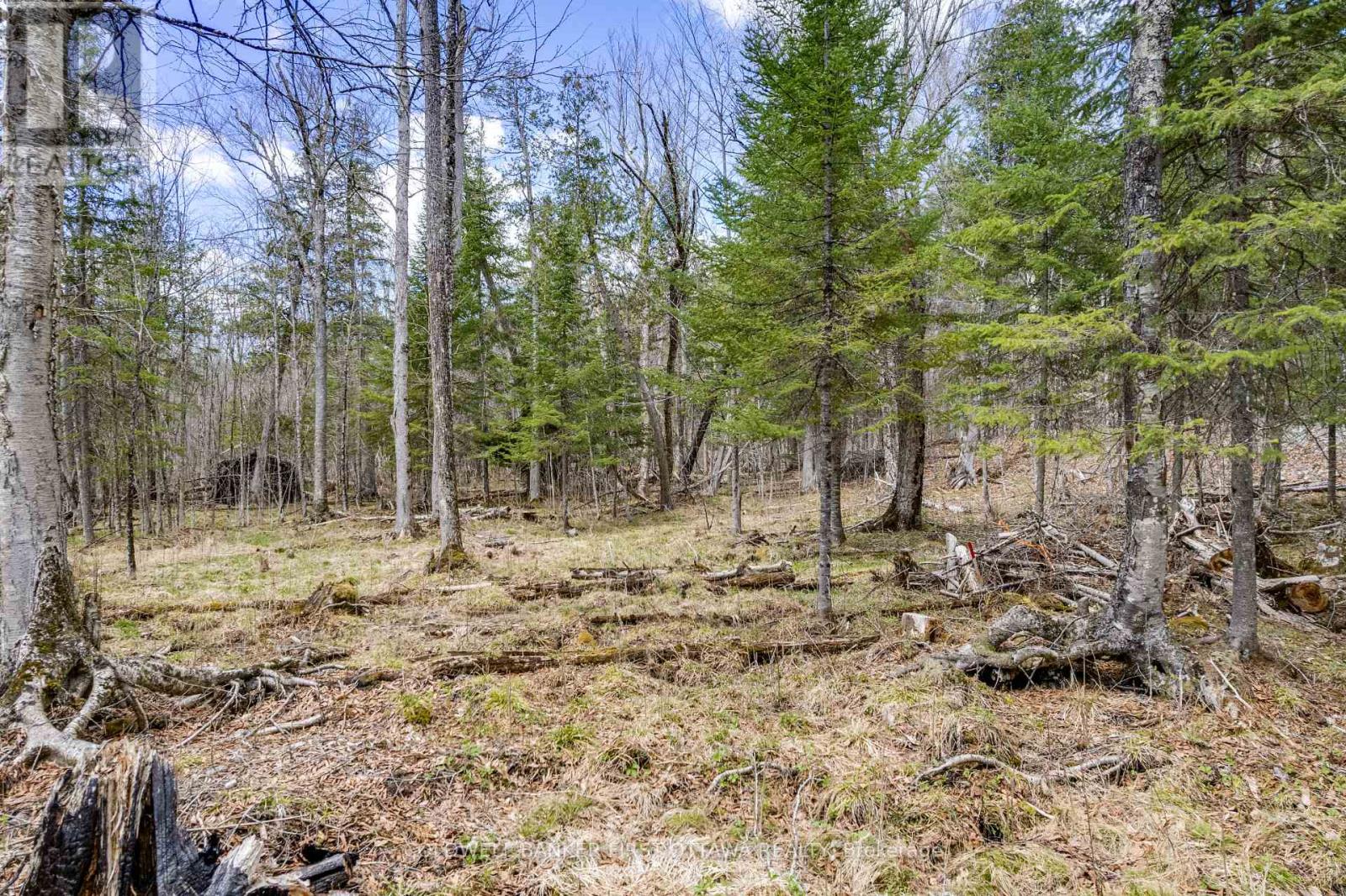 621 North Shore Rd Road, Lanark Highlands, Ontario  K0G 1M0 - Photo 19 - X13133232