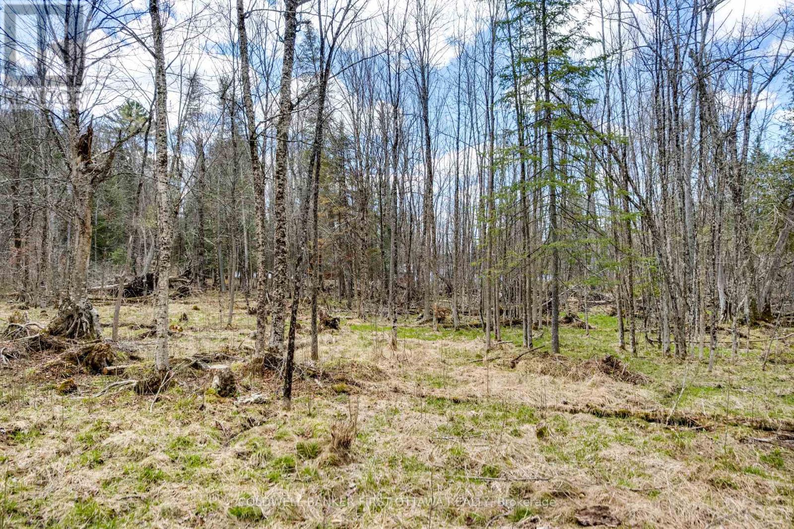 621 North Shore Rd Road, Lanark Highlands, Ontario  K0G 1M0 - Photo 20 - X13133232