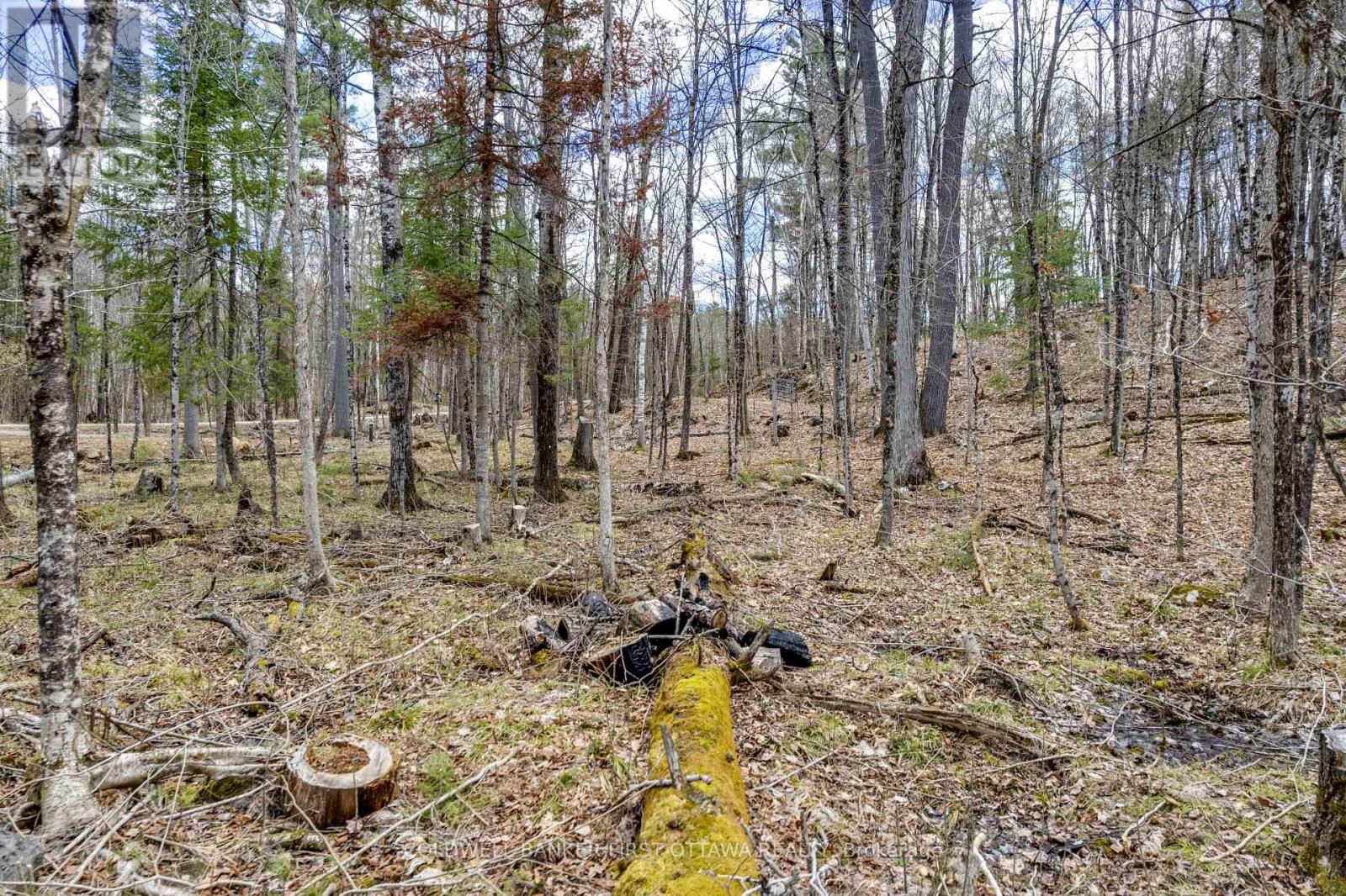 621 North Shore Rd Road, Lanark Highlands, Ontario  K0G 1M0 - Photo 21 - X13133232