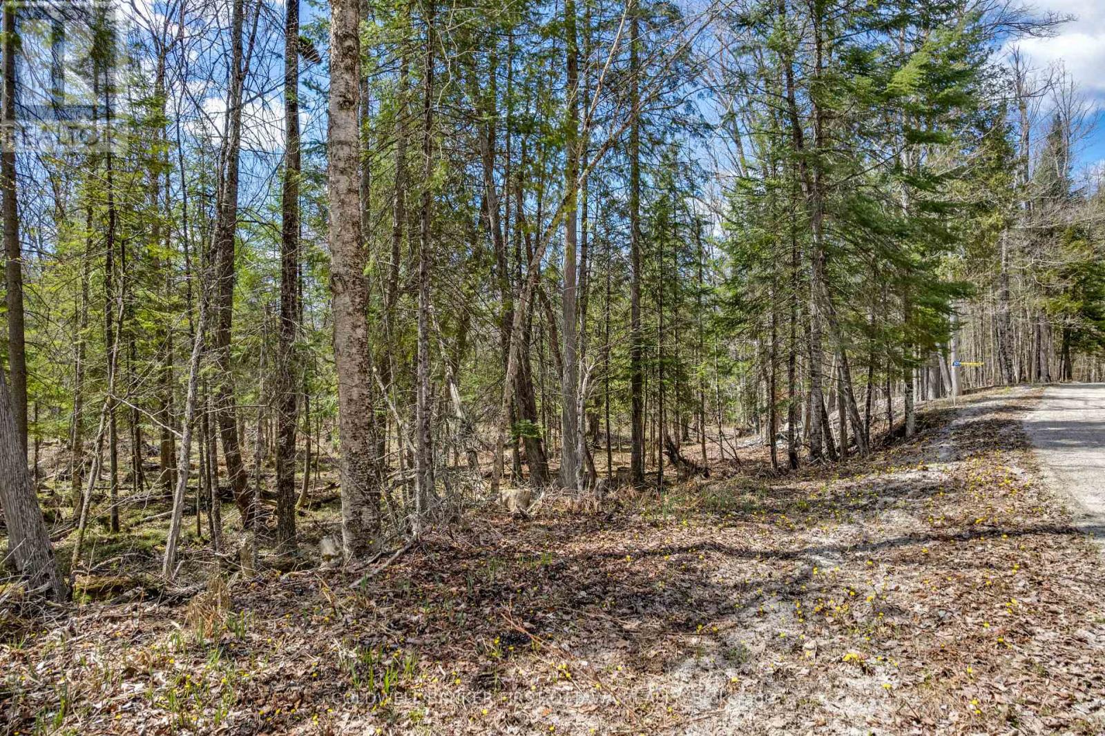 621 North Shore Rd Road, Lanark Highlands, Ontario  K0G 1M0 - Photo 24 - X13133232