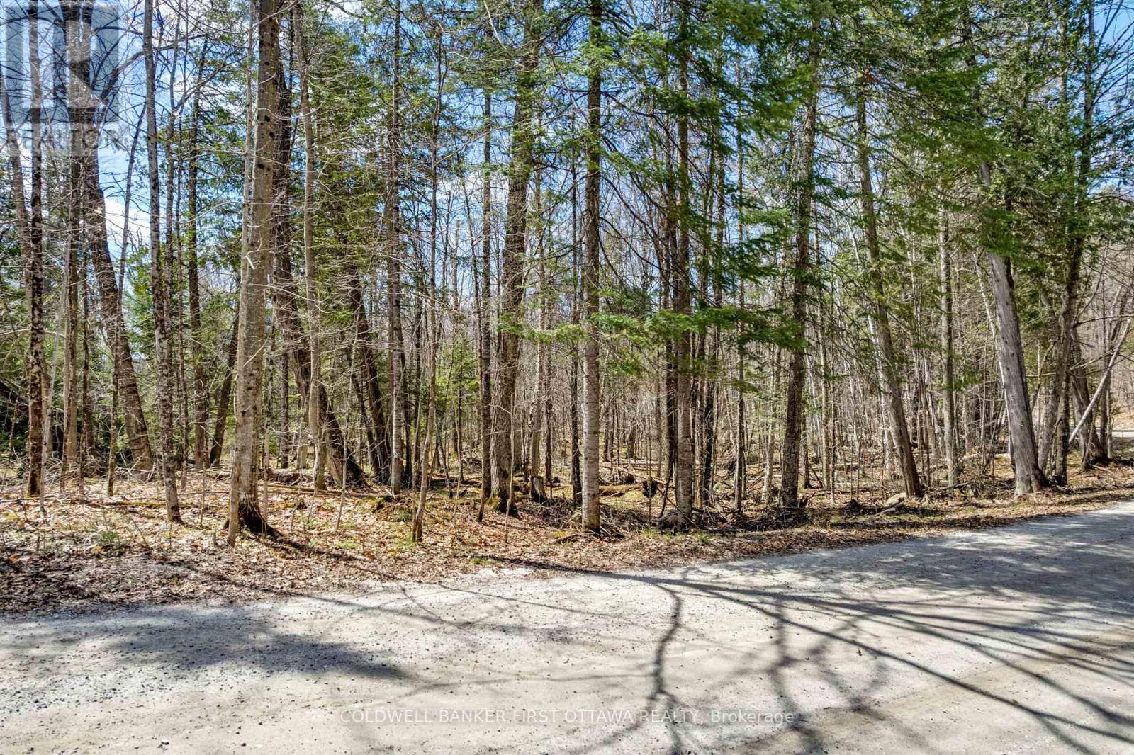 621 North Shore Rd Road, Lanark Highlands, Ontario  K0G 1M0 - Photo 26 - X13133232
