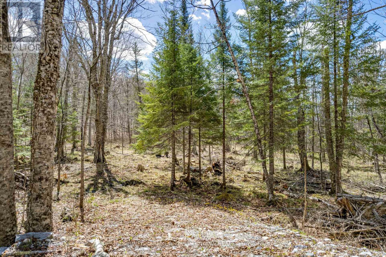 621 North Shore Rd Road, Lanark Highlands, Ontario  K0G 1M0 - Photo 27 - X13133232