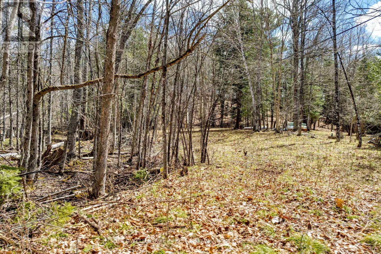 621 North Shore Rd Road, Lanark Highlands, Ontario  K0G 1M0 - Photo 5 - X13133232
