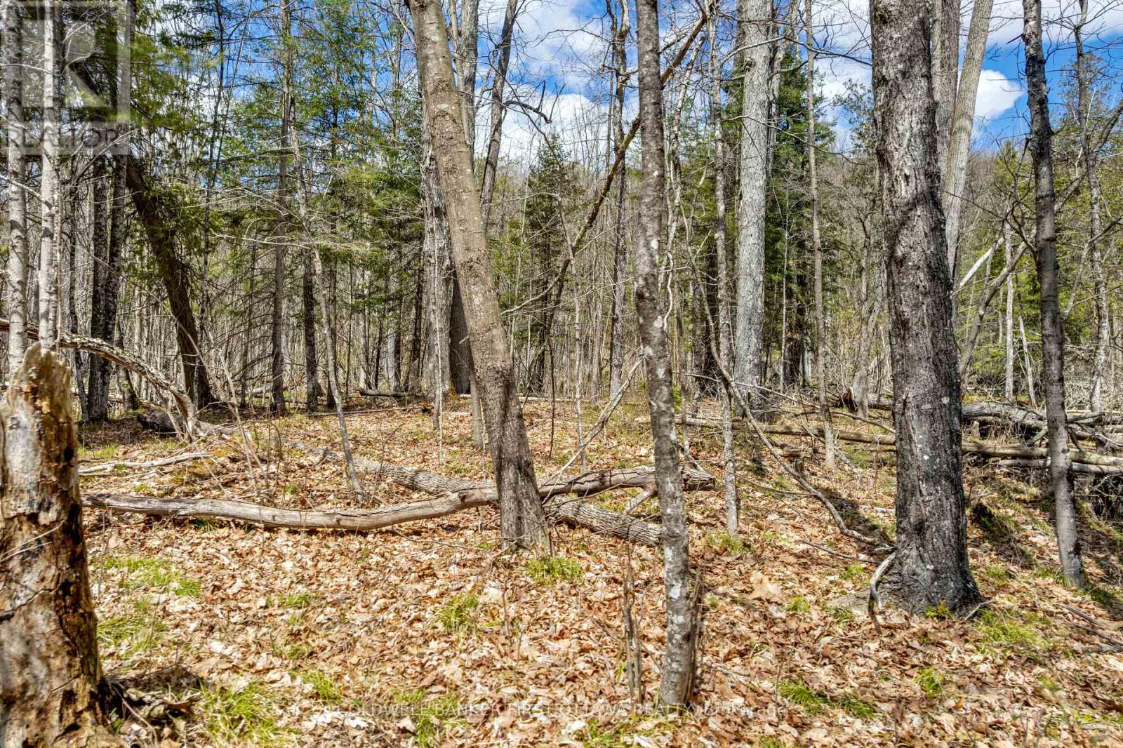 621 North Shore Rd Road, Lanark Highlands, Ontario  K0G 1M0 - Photo 6 - X13133232
