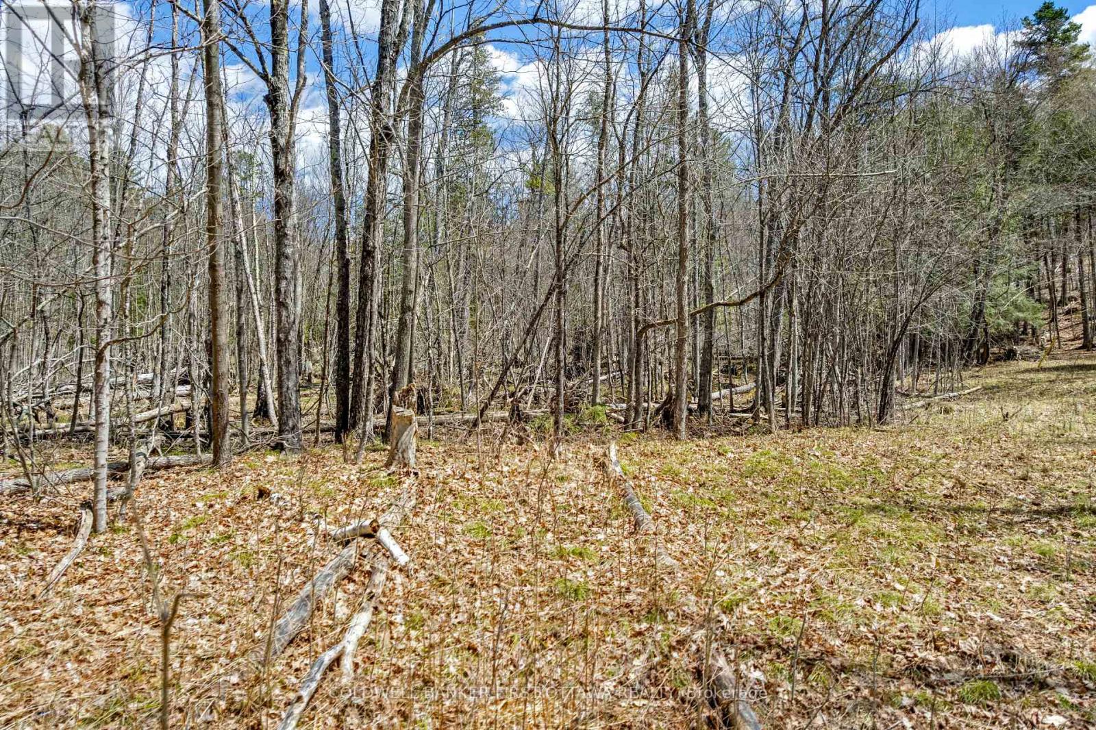 621 North Shore Rd Road, Lanark Highlands, Ontario  K0G 1M0 - Photo 7 - X13133232