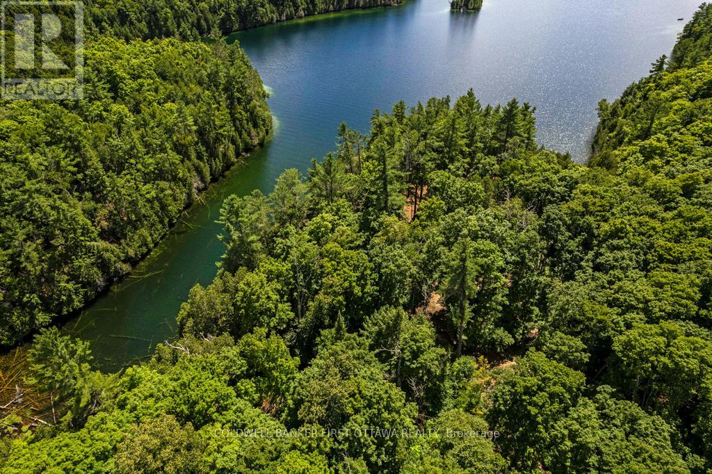 000 Palmerston Lake, Frontenac, Ontario  K0H 2J0 - Photo 10 - X13134876