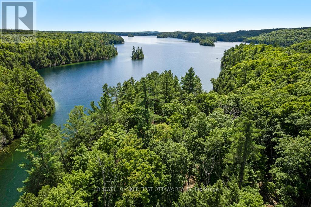 000 Palmerston Lake, Frontenac, Ontario  K0H 2J0 - Photo 11 - X13134876
