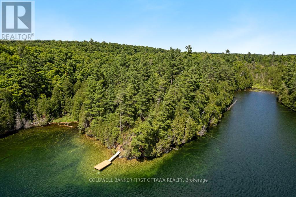 000 Palmerston Lake, Frontenac, Ontario  K0H 2J0 - Photo 12 - X13134876