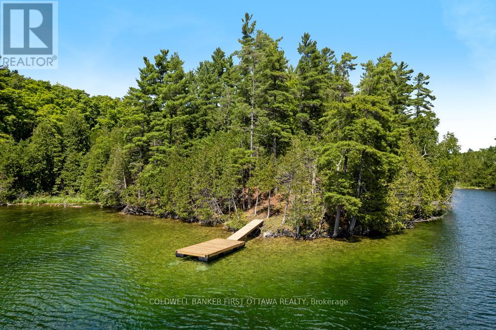 000 Palmerston Lake, Frontenac, Ontario  K0H 2J0 - Photo 13 - X13134876
