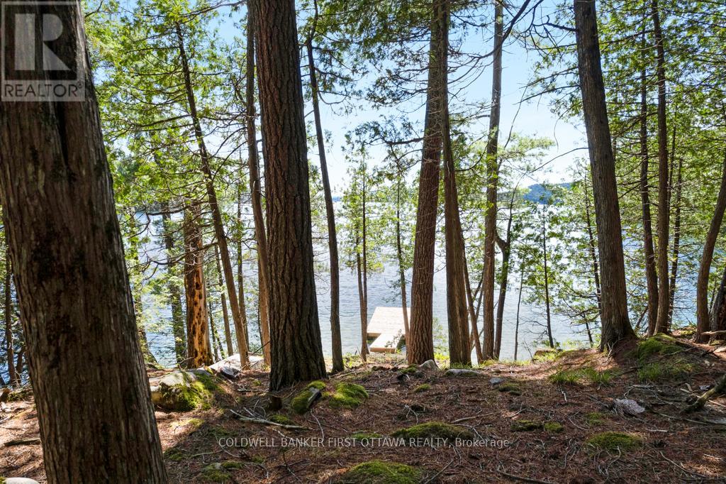 000 Palmerston Lake, Frontenac, Ontario  K0H 2J0 - Photo 15 - X13134876
