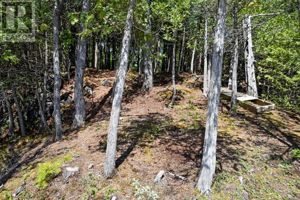 000 Palmerston Lake, Frontenac, Ontario  K0H 2J0 - Photo 16 - X13134876