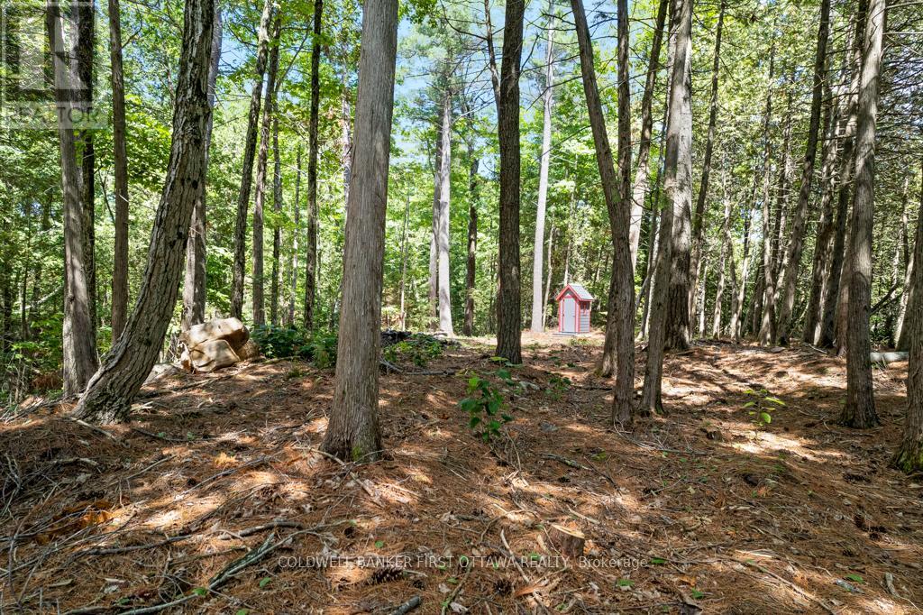 000 Palmerston Lake, Frontenac, Ontario  K0H 2J0 - Photo 17 - X13134876