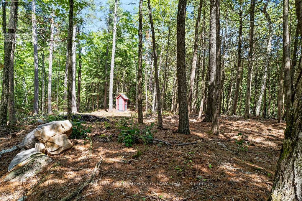 000 Palmerston Lake, Frontenac, Ontario  K0H 2J0 - Photo 18 - X13134876