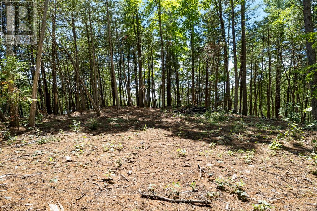 000 Palmerston Lake, Frontenac, Ontario  K0H 2J0 - Photo 22 - X13134876