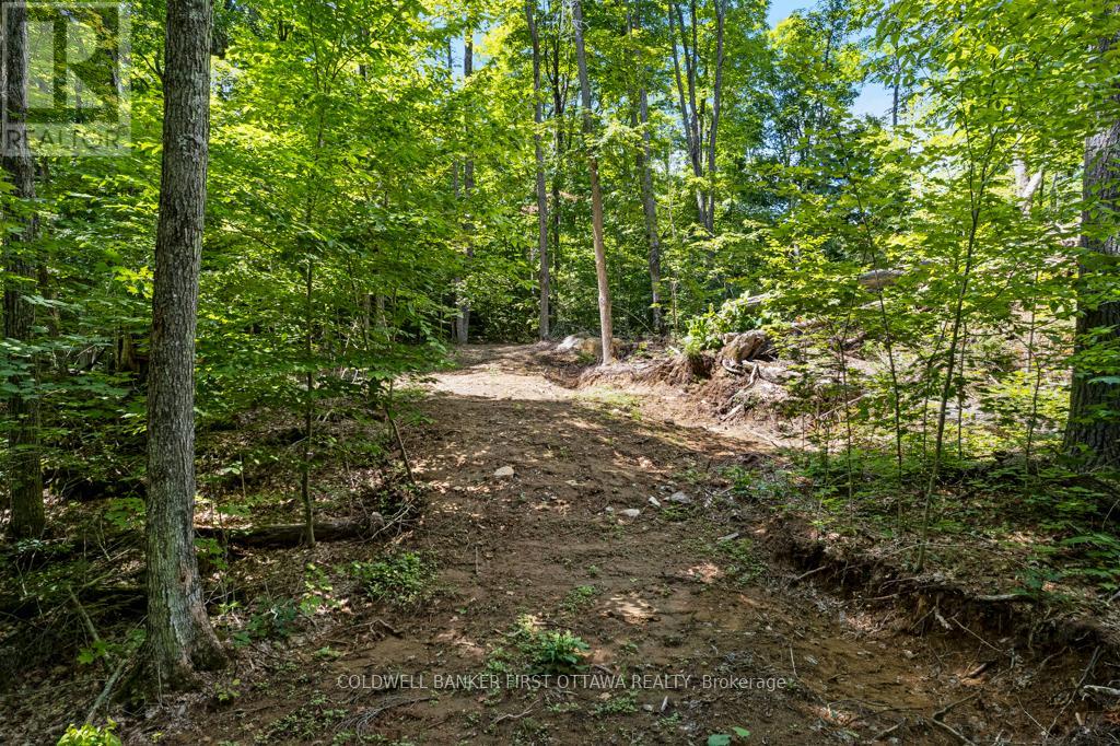 000 Palmerston Lake, Frontenac, Ontario  K0H 2J0 - Photo 23 - X13134876