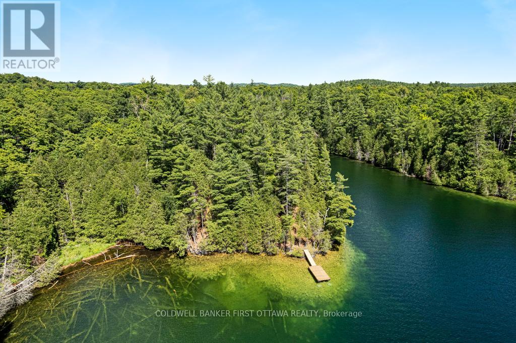 000 Palmerston Lake, Frontenac, Ontario  K0H 2J0 - Photo 4 - X13134876