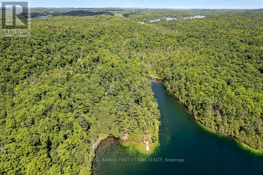 000 Palmerston Lake, Frontenac, Ontario  K0H 2J0 - Photo 5 - X13134876