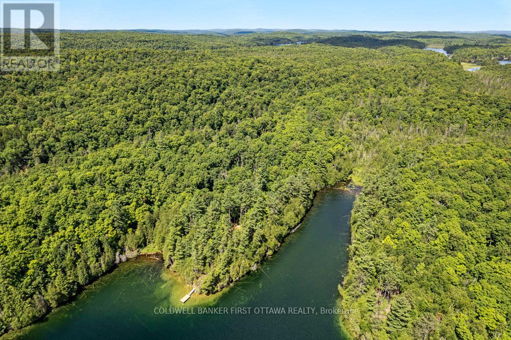 000 Palmerston Lake, Frontenac, Ontario  K0H 2J0 - Photo 6 - X13134876
