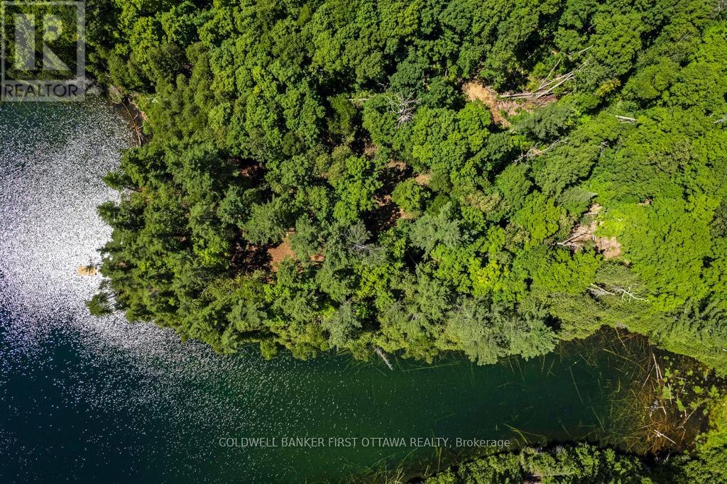 000 Palmerston Lake, Frontenac, Ontario  K0H 2J0 - Photo 7 - X13134876