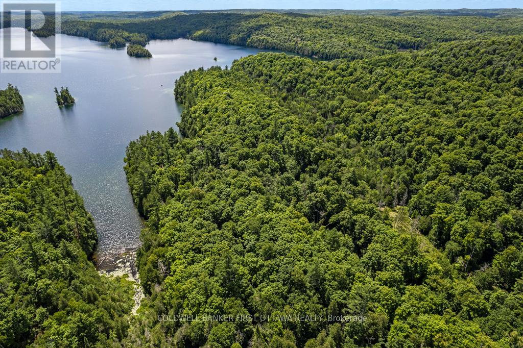 000 Palmerston Lake, Frontenac, Ontario  K0H 2J0 - Photo 8 - X13134876