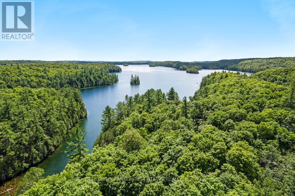 000 Palmerston Lake, Frontenac, Ontario  K0H 2J0 - Photo 9 - X13134876