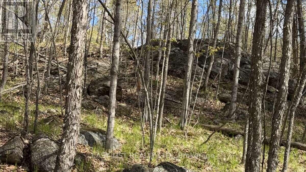 1040 Concession 7, Lanark Highlands, Ontario  K0G 1M0 - Photo 12 - X13137028