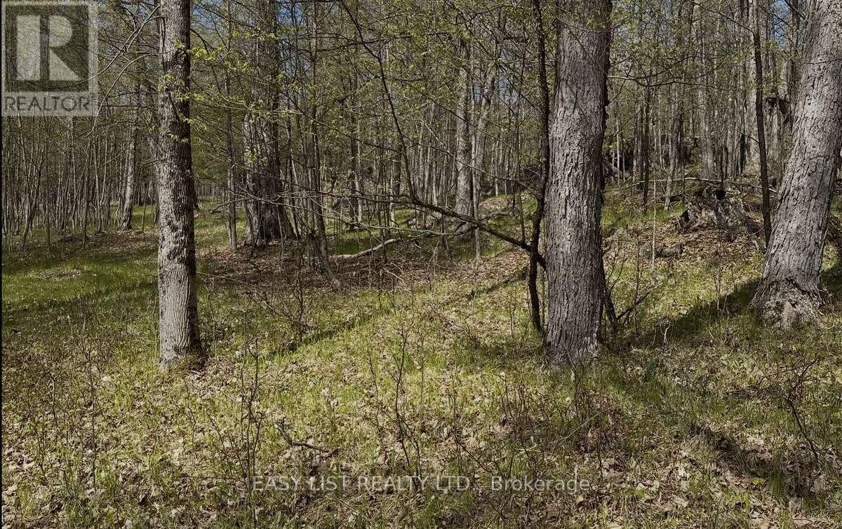 1040 Concession 7, Lanark Highlands, Ontario  K0G 1M0 - Photo 13 - X13137028