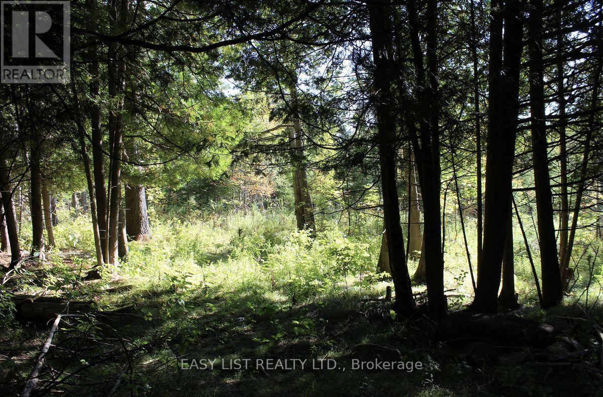 1040 Concession 7, Lanark Highlands, Ontario  K0G 1M0 - Photo 17 - X13137028