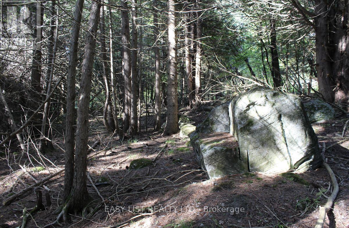 1040 Concession 7, Lanark Highlands, Ontario  K0G 1M0 - Photo 18 - X13137028
