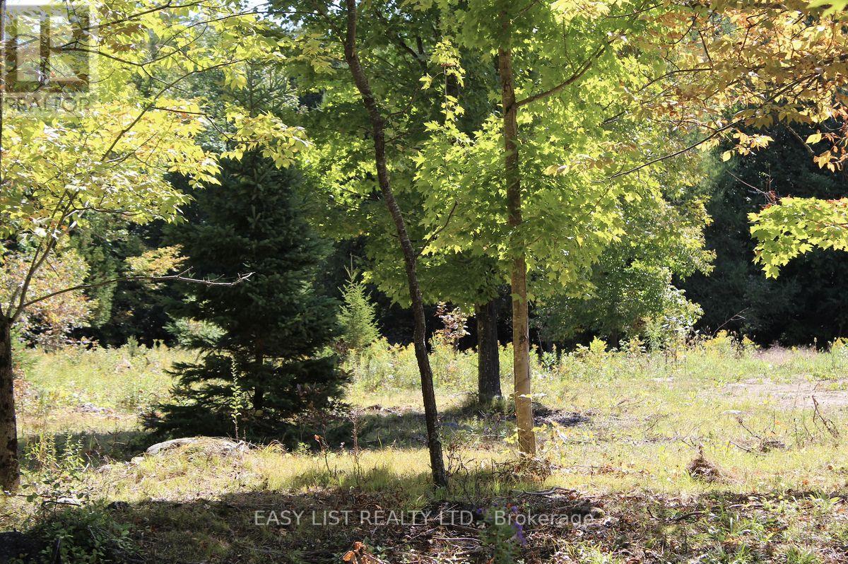 1040 Concession 7, Lanark Highlands, Ontario  K0G 1M0 - Photo 19 - X13137028