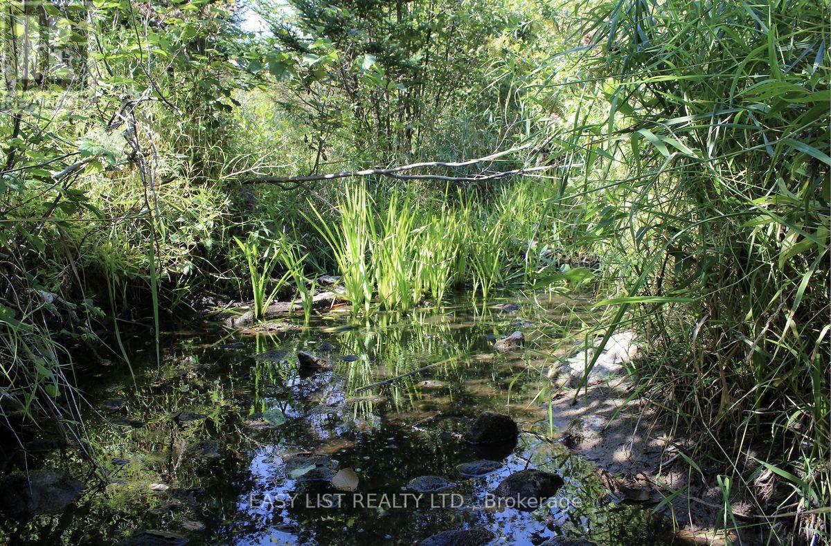 1040 Concession 7, Lanark Highlands, Ontario  K0G 1M0 - Photo 20 - X13137028