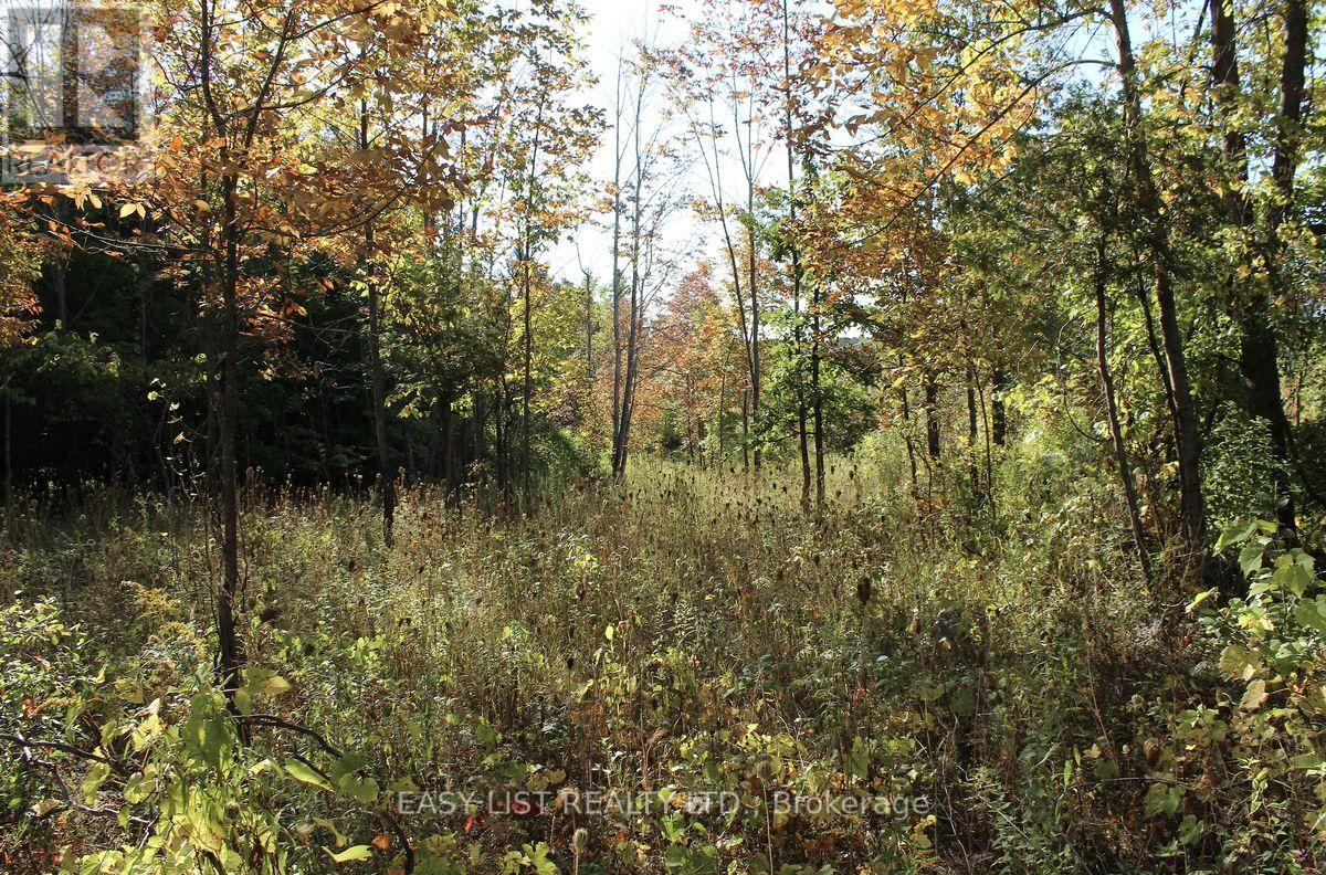 1040 Concession 7, Lanark Highlands, Ontario  K0G 1M0 - Photo 26 - X13137028