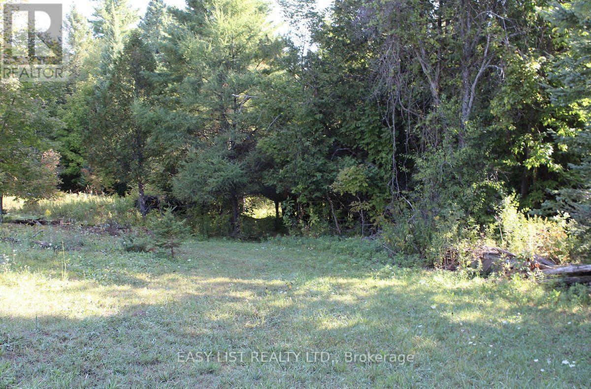 1040 Concession 7, Lanark Highlands, Ontario  K0G 1M0 - Photo 28 - X13137028
