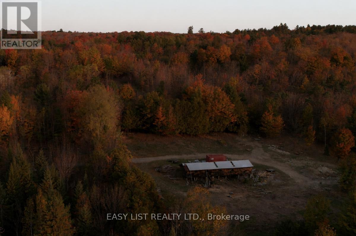 1040 Concession 7, Lanark Highlands, Ontario  K0G 1M0 - Photo 5 - X13137028