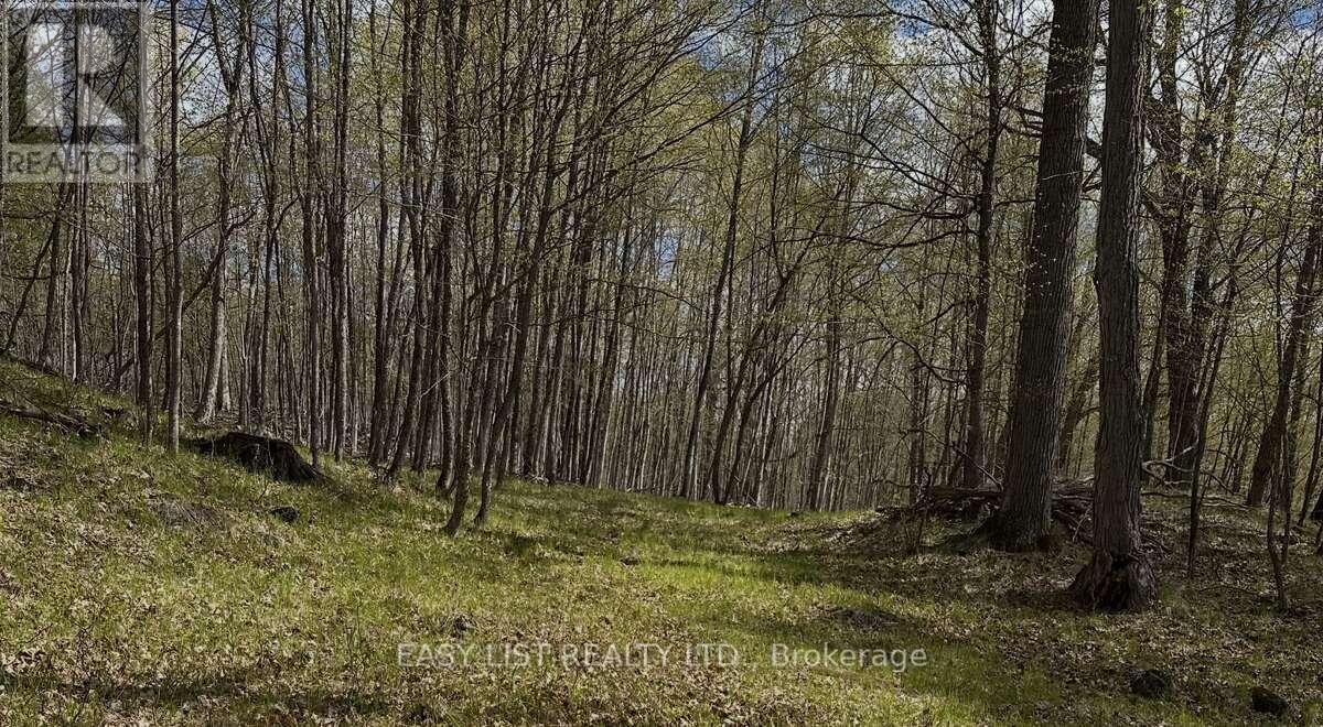 1040 Concession 7, Lanark Highlands, Ontario  K0G 1M0 - Photo 6 - X13137028