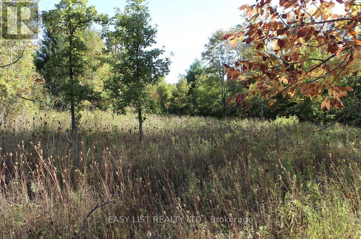 1040 Concession 7, Lanark Highlands, Ontario  K0G 1M0 - Photo 7 - X13137028