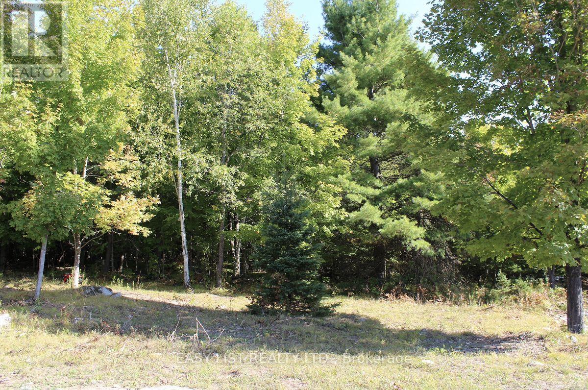1040 Concession 7, Lanark Highlands, Ontario  K0G 1M0 - Photo 9 - X13137028