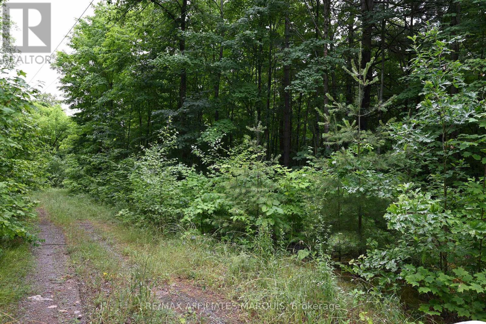 000 Highway 43 Highway, Drummond/north Elmsley, Ontario  K7A 4S4 - Photo 6 - X13152342