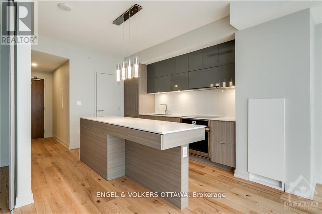 1201 - 101 Queen Street, Ottawa, Ontario  K1P 0B7 - Photo 12 - X13153398
