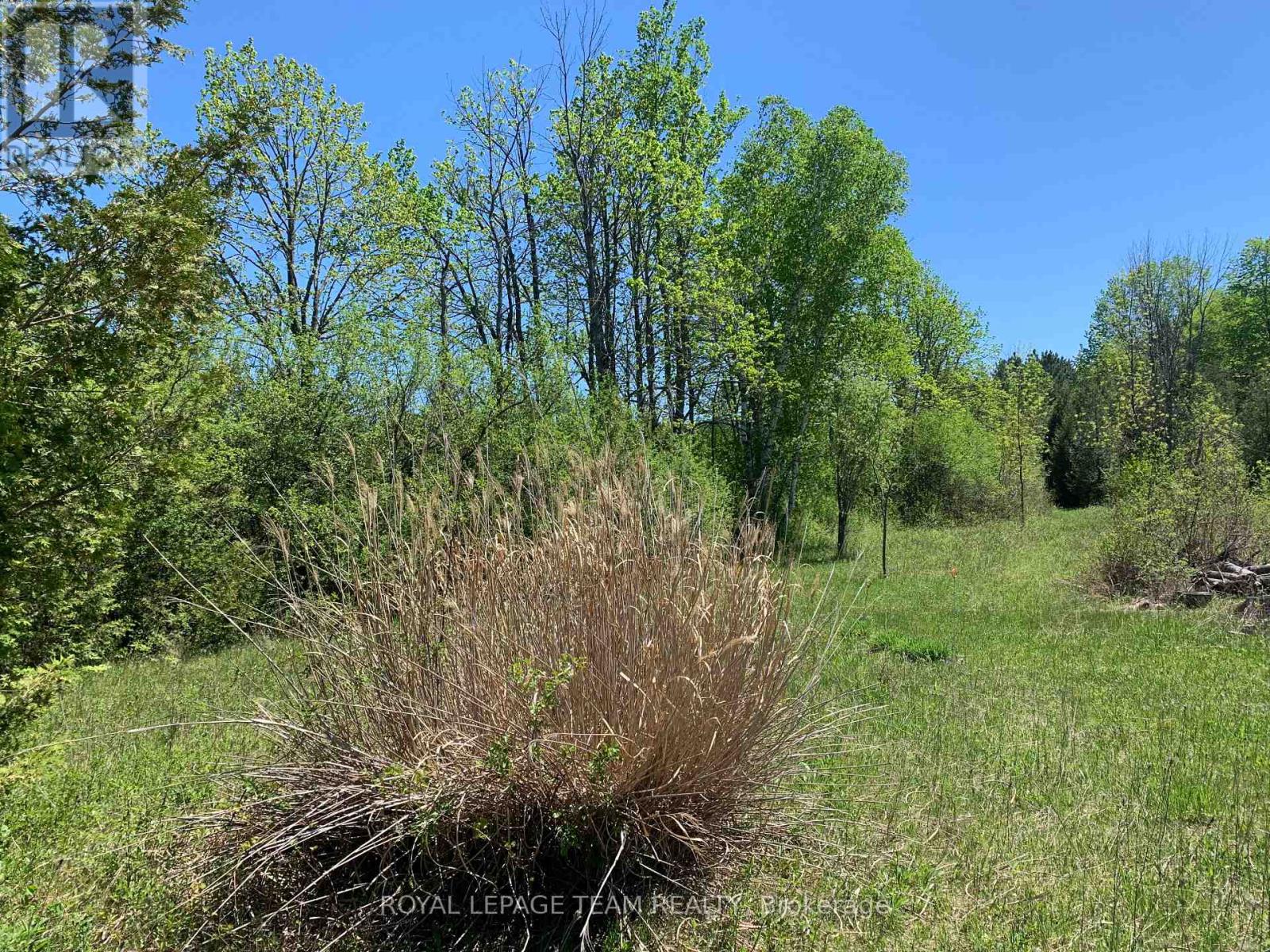00 Bolton Road, Merrickville-Wolford, Ontario  K0G 1R0 - Photo 10 - X13158580