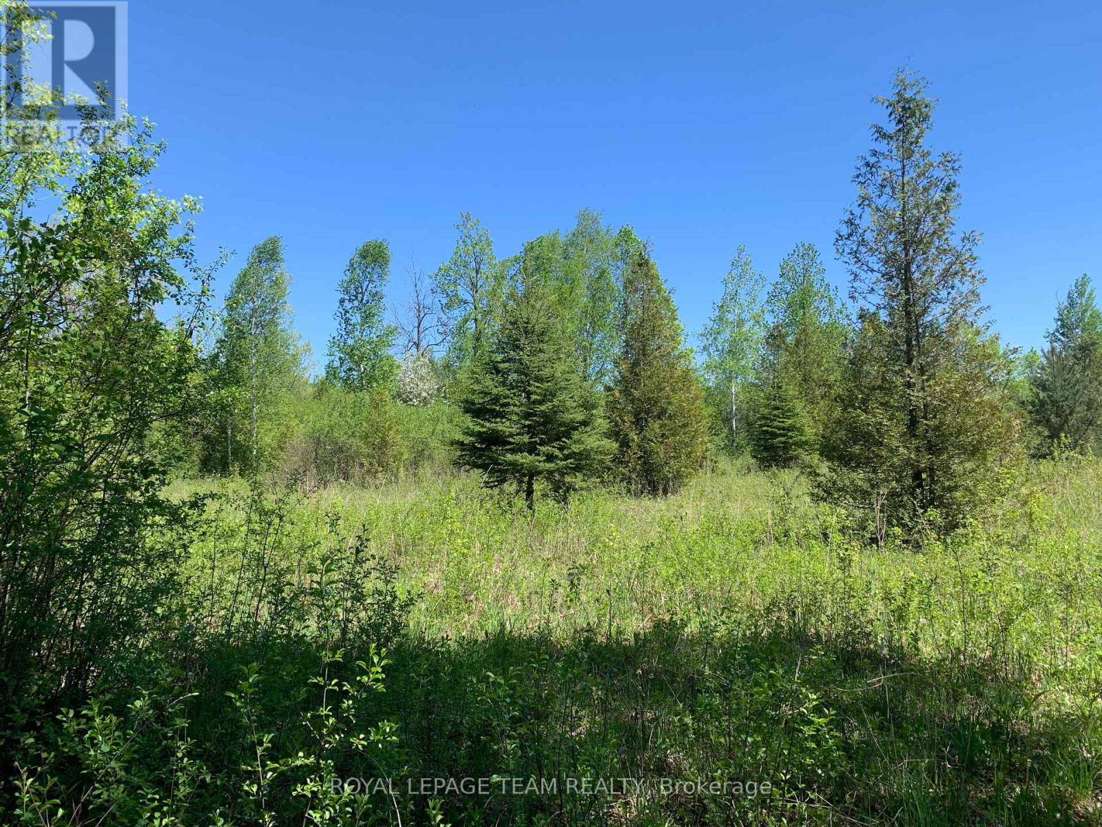 00 Bolton Road, Merrickville-Wolford, Ontario  K0G 1R0 - Photo 4 - X13158580