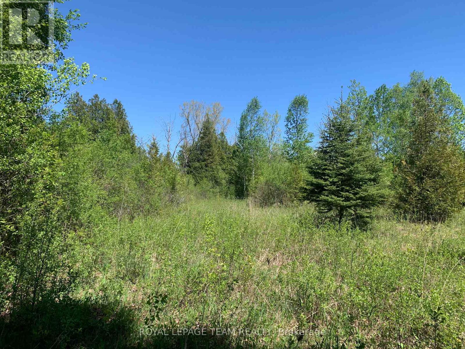 00 Bolton Road, Merrickville-Wolford, Ontario  K0G 1R0 - Photo 5 - X13158580