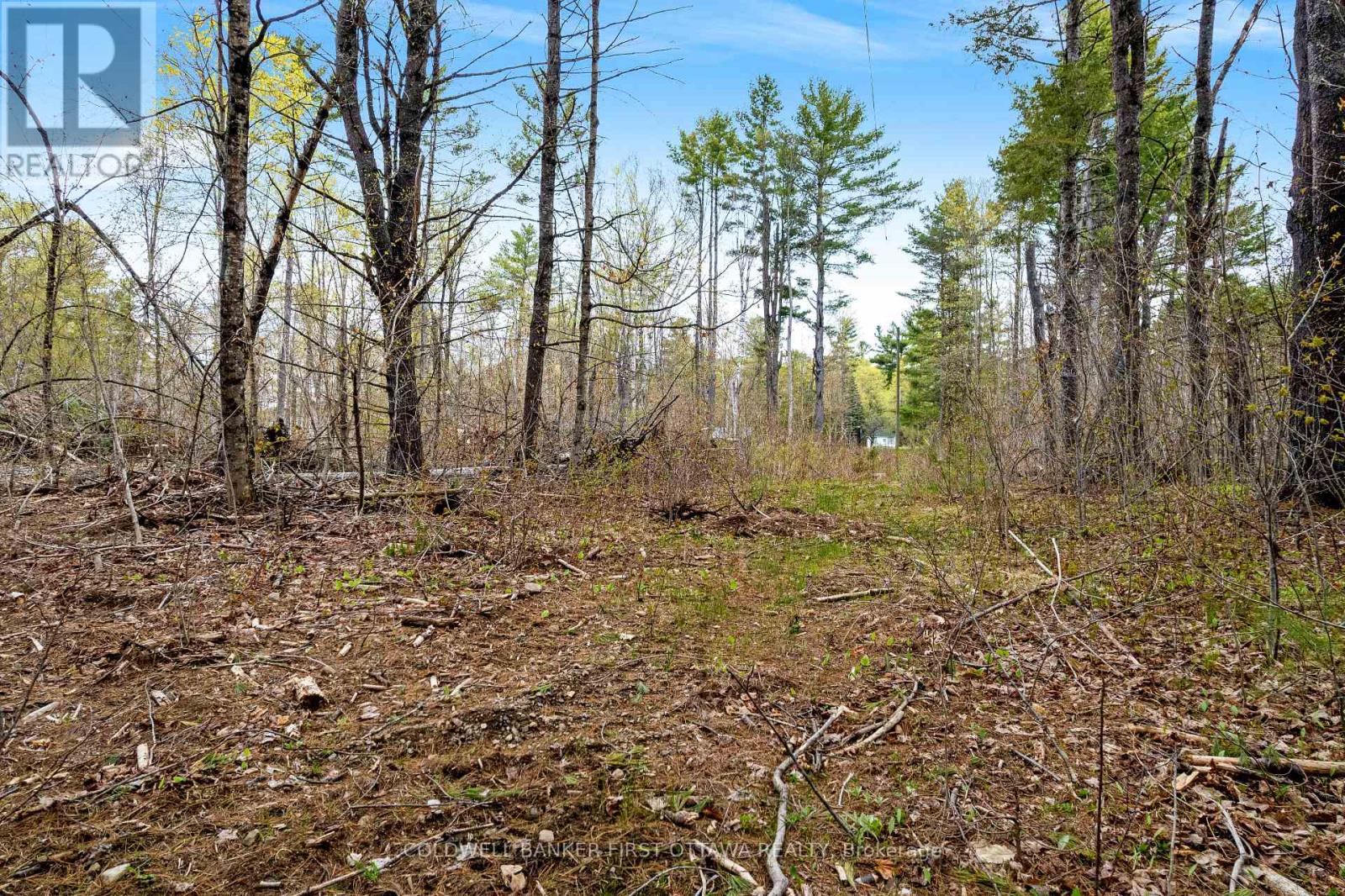 3776 Buckshot Lake Road, Addington Highlands, Ontario  K0H 2M0 - Photo 11 - X13160010